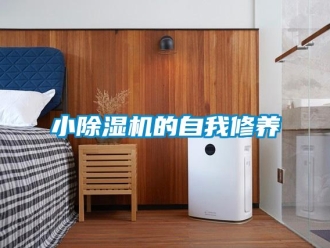 行业新闻小除湿机的自我修养