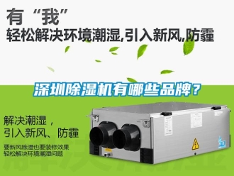 企业新闻深圳除湿机有哪些品牌？
