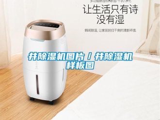 行业新闻井除湿机图片／井除湿机样板图