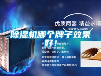 常见问题除湿机哪个牌子效果好！