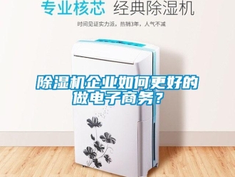 常见问题除湿机企业如何更好的做电子商务？