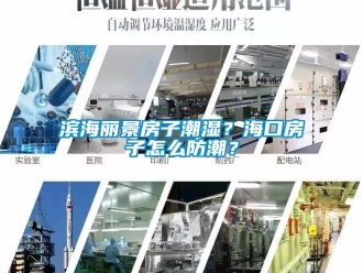 企业新闻滨海丽景房子潮湿？海口房子怎么防潮？
