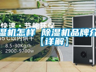 企业新闻除湿机怎样 除湿机品牌介绍【详解】