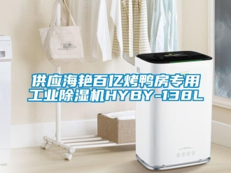 常见问题供应海艳百亿烤鸭房专用工业除湿机HYBY-138L