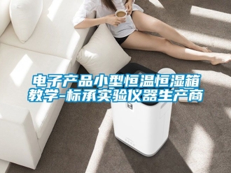 知识百科电子产品小型恒温恒湿箱教学-标承实验仪器生产商