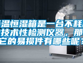 知识百科恒温恒湿箱是一台不耗材的技术性检测仪器，那么它的易损件有哪些呢？