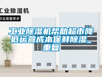 常见问题工业除湿机帮助超市降低运营成本保鲜除湿_重复