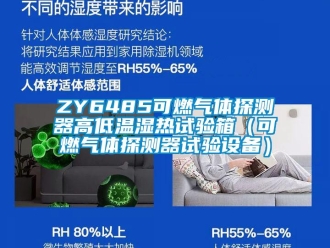 常见问题ZY6485可燃气体探测器高低温湿热试验箱（可燃气体探测器试验设备）
