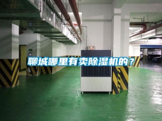 行业新闻聊城哪里有卖除湿机的？