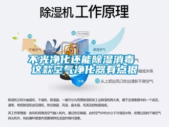 企业新闻不光净化还能除湿消毒 这款空气净化器有点狠