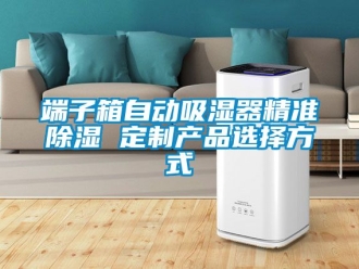 行业新闻端子箱自动吸湿器精准除湿 定制产品选择方式
