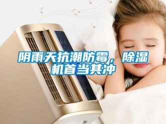 知识百科阴雨天抗潮防霉，除湿机首当其冲