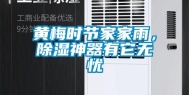 黄梅时节家家雨，除湿神器有它无忧