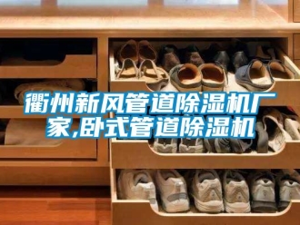 企业新闻衢州新风管道除湿机厂家,卧式管道除湿机