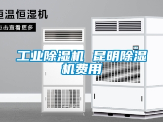 常见问题工业除湿机 昆明除湿机费用