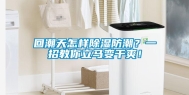 回潮天怎样除湿防潮？一招教你立马变干爽！