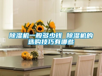 行业新闻除湿机一般多少钱 除湿机的选购技巧有哪些