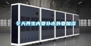 冬天养生内要补水外要加湿