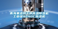 青海果洛烘干房高温除湿机工业级9240C除湿机