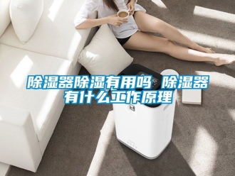 行业新闻除湿器除湿有用吗 除湿器有什么工作原理