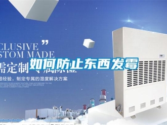 常见问题如何防止东西发霉