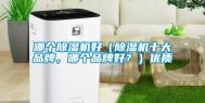 哪个除湿机好（除湿机十大品牌，哪个品牌好？）优质