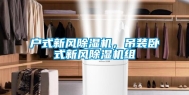 户式新风除湿机，吊装卧式新风除湿机组