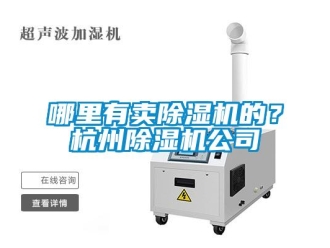 行业新闻哪里有卖除湿机的？杭州除湿机公司