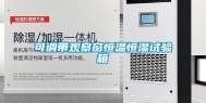 可调带观察窗恒温恒湿试验箱