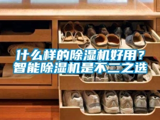 知识百科什么样的除湿机好用？智能除湿机是不二之选