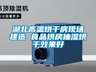 企业新闻湖北高温烘干房现场建造 食品烘房抽湿烘干效果好