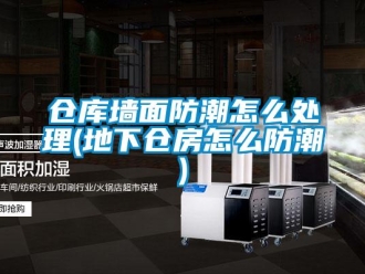 企业新闻仓库墙面防潮怎么处理(地下仓房怎么防潮)