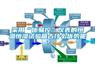知识百科采用“优易控”仪表的恒温恒湿试验箱占什么优势呢？