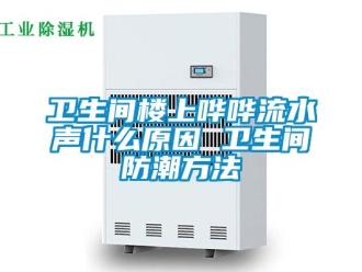 常见问题卫生间楼上哗哗流水声什么原因 卫生间防潮方法