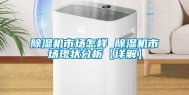 除湿机市场怎样 除湿机市场现状分析【详解】