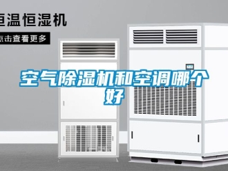行业新闻空气除湿机和空调哪个好
