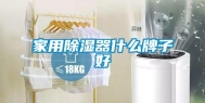 家用除湿器什么牌子好