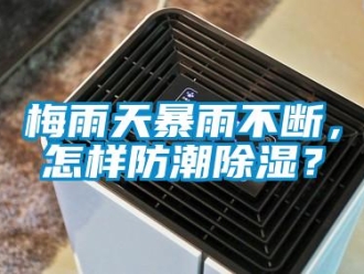 常见问题梅雨天暴雨不断，怎样防潮除湿？