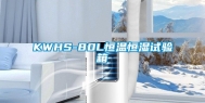 KWHS-80L恒温恒湿试验箱