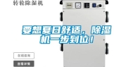 要想夏日舒适，除湿机一步到位！