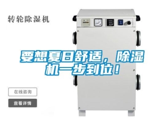 知识百科要想夏日舒适，除湿机一步到位！