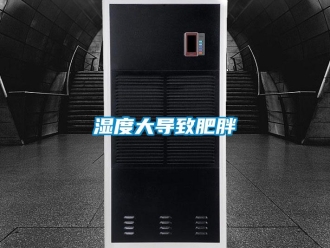 知识百科湿度大导致肥胖