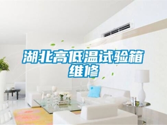 常见问题湖北高低温试验箱维修
