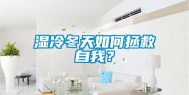湿冷冬天如何拯救自我？