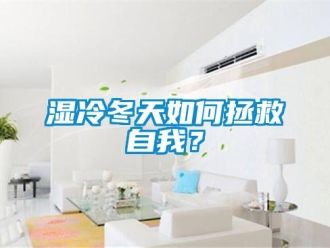 常见问题湿冷冬天如何拯救自我？