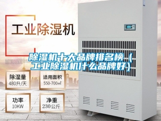 常见问题除湿机十大品牌排名榜（工业除湿机什么品牌好）