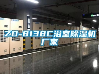 企业新闻ZD-8138C浴室除湿机厂家