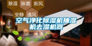 空气净化除湿机抽湿机去湿机器