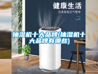 企业新闻抽湿机十大品牌(抽湿机十大品牌有哪些)