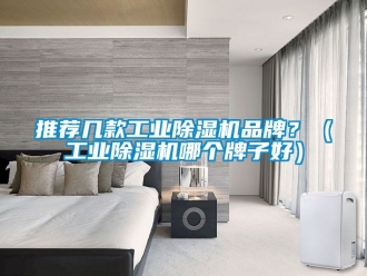 常见问题推荐几款工业除湿机品牌？（工业除湿机哪个牌子好）